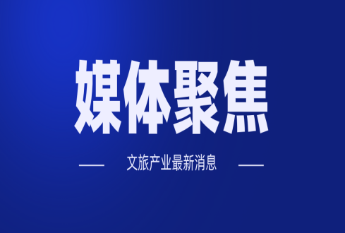 加快數(shù)字化進程，OTA都用了哪些招？